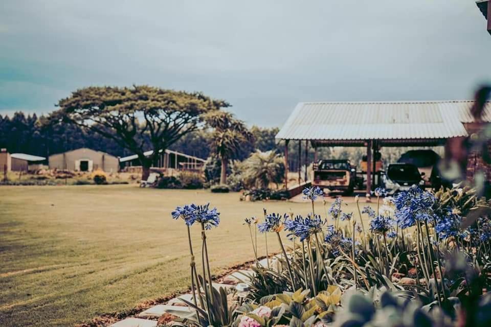 Forest Hill Country Lodge Piet Retief Luaran gambar